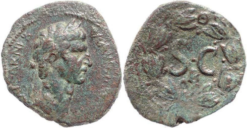Ancient Roman coin of the Emperor Nerva Ae31 - Antioch